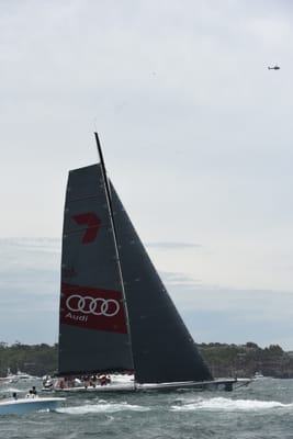 DSC_0603.JPG