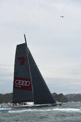 DSC_0605.JPG
