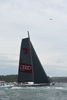 DSC_0606.JPG