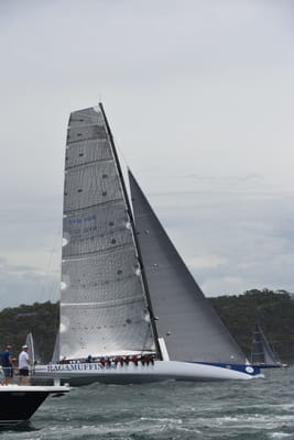 DSC_0609.JPG