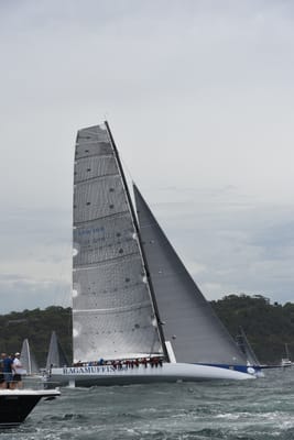 DSC_0610.JPG