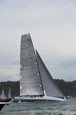 DSC_0611.JPG