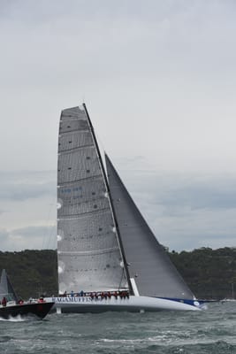 DSC_0612.JPG