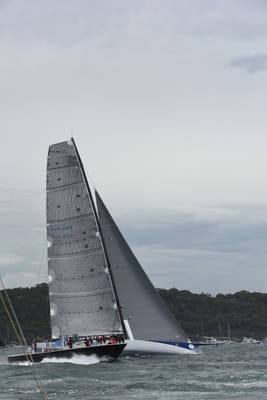 DSC_0613.JPG