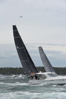 DSC_0620.JPG