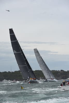DSC_0623.JPG