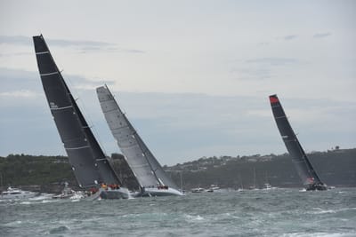 DSC_0628.JPG