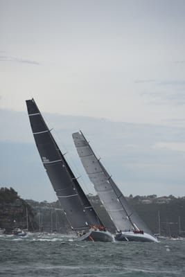 DSC_0631.JPG