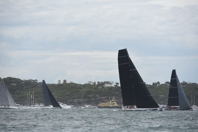 DSC_0632.JPG