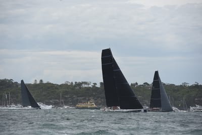 DSC_0633.JPG