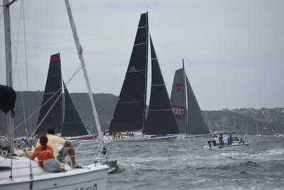 DSC_0635.JPG