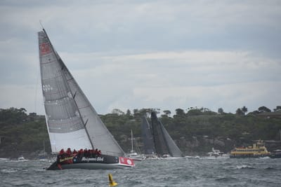 DSC_0636.JPG