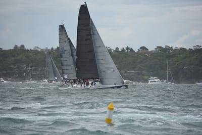 DSC_0644.JPG