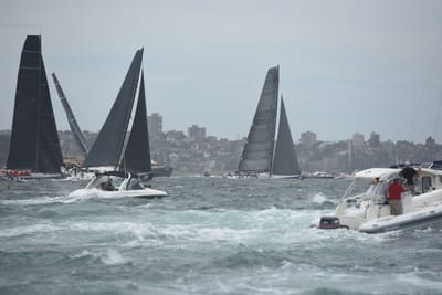 DSC_0646.JPG