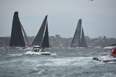 DSC_0647.JPG