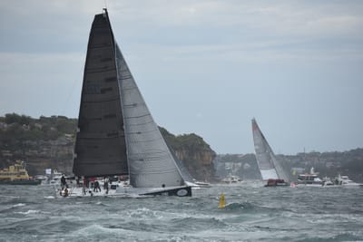 DSC_0648.JPG