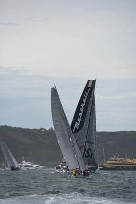 DSC_0665.JPG
