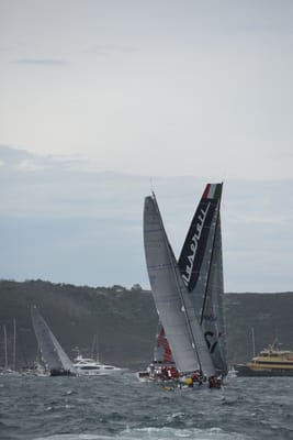 DSC_0666.JPG