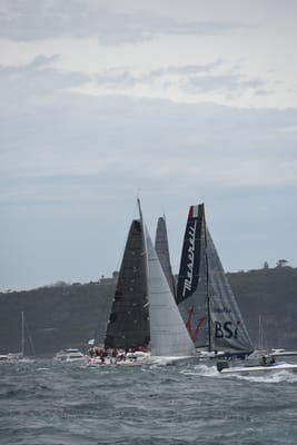 DSC_0668.JPG
