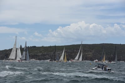 DSC_0671.JPG