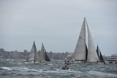 DSC_0673.JPG