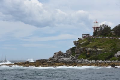 DSC_0678.JPG