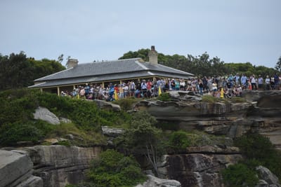 DSC_0679.JPG
