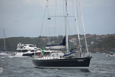 DSC_0690.JPG