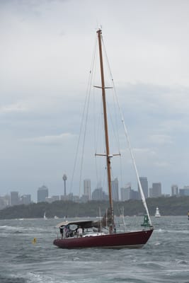 DSC_0697.JPG