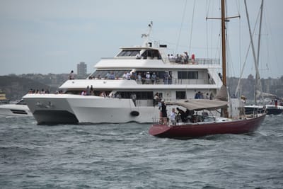 DSC_0699.JPG