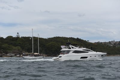 DSC_0706.JPG