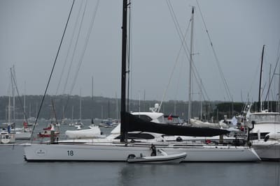 DSC_0715.JPG
