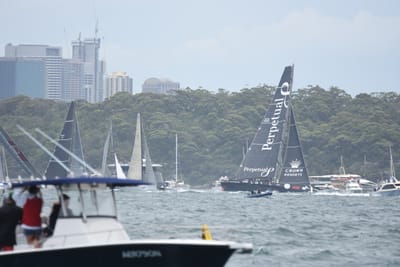 DSC_5221.JPG