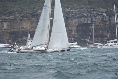 DSC_5228.JPG