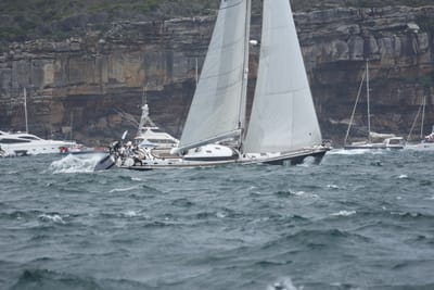 DSC_5229.JPG