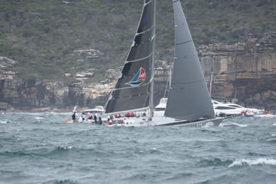 DSC_5230.JPG