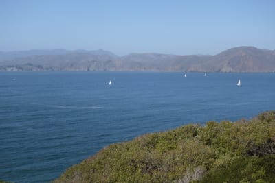 DSC07370.JPG