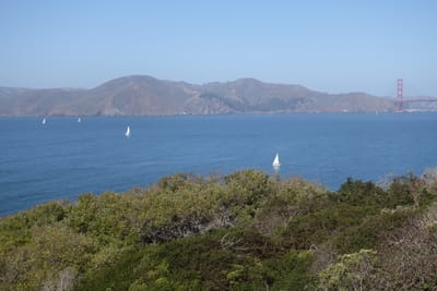 DSC07371.JPG