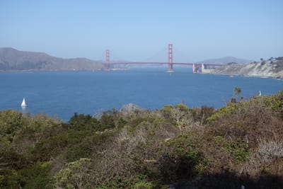 DSC07372.JPG