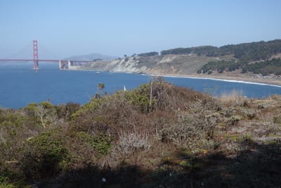 DSC07373.JPG