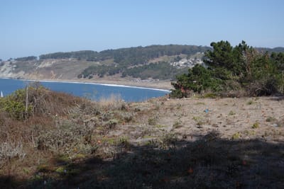 DSC07374.JPG