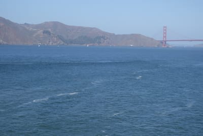 DSC07378.JPG