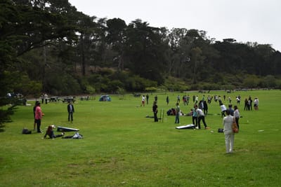 DSC_8929.JPG