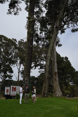 DSC_8937.JPG