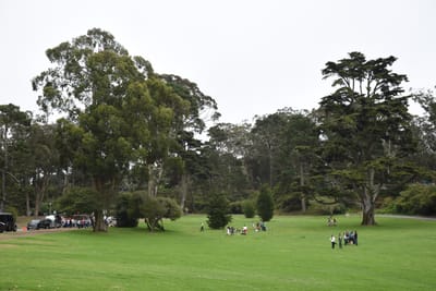 DSC_8969.JPG