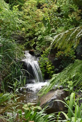 DSC_0730.JPG