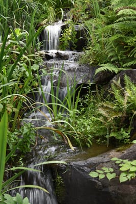 DSC_0732.JPG