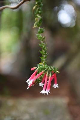 DSC_0744.JPG