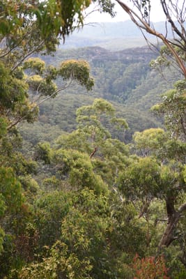 DSC_0752.JPG