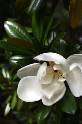 DSC_0756.JPG